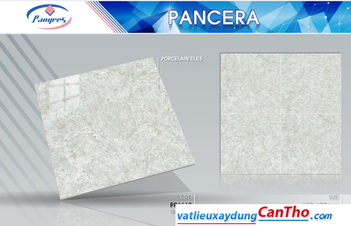 Pancera PP 6613